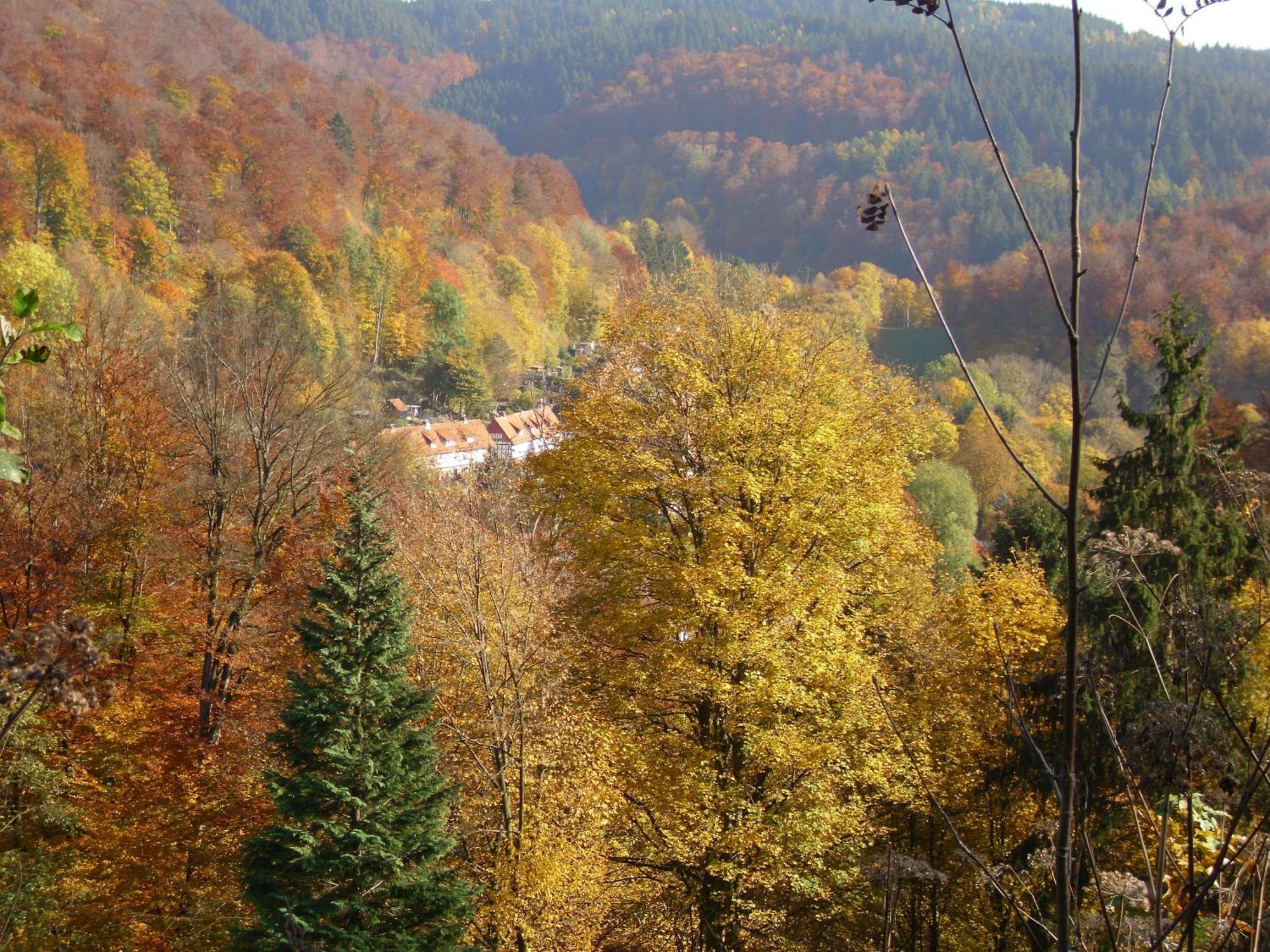 Отель Naturkost-hotel Harz 3*