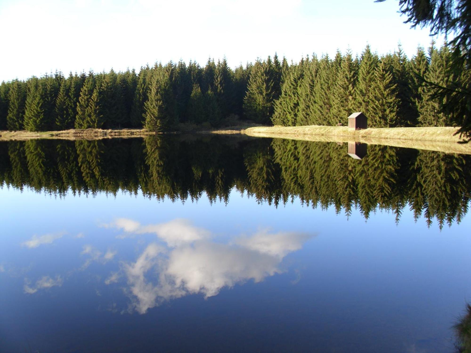 Naturkost-hotel Harz Bad Grund